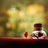 haya_alshehre's profile image