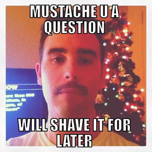 ryeliketoast's profile picture. 