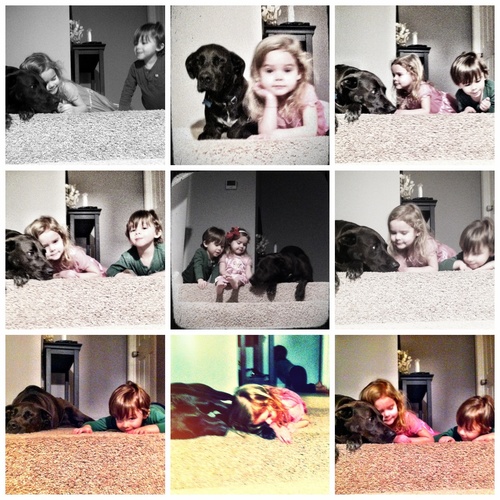 ryan1977's profile picture. Proud father of 3 amazing kids our daughter has cystic fibrosis a life shortening lung disease. We won't rest till a cure is found! Go Hogs #WPS & KC Chiefs.