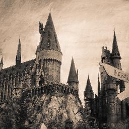 Lleno de magia,amistad, y casas fantásticas. Si no eres Potterhead este no es tu sitio. Sorbetes de limón a domicilio. (info)