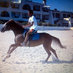 Saif Abbas Chatoo (@saifachatoo) Twitter profile photo Saif Abbas Chatoo (@saifachatoo) Twitter profile photo