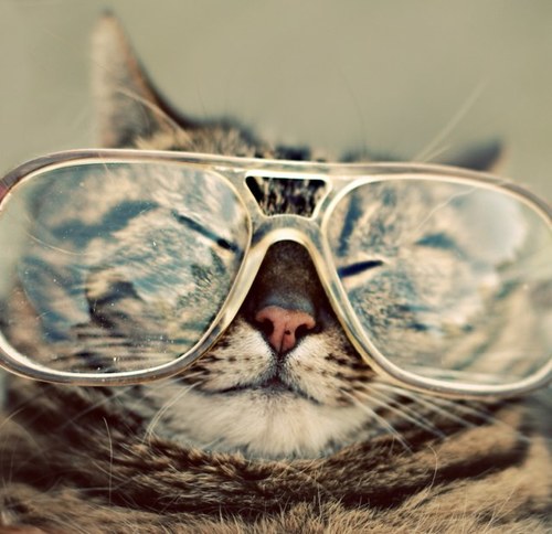 HipsterLoveTale's profile picture. How hipsters fall in love.