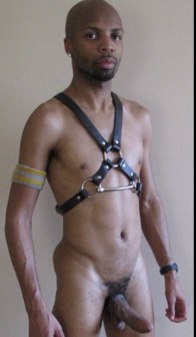 JPreslei's profile picture. Provider of Pure Ecstasy and Passion