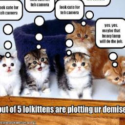 BrynaiAnderson's profile picture. luv mythical creatures, ice cream, and hangin w/ friends.luv my cats, 2.go 2 WMS and love 2 play bball! My friends are all AWESOME and i luv them 2 death!