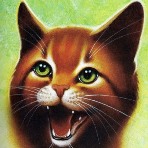 The best leader of Thunderclan there ever was you know it. Follow me and may Starclan guide your path. *Roleplay account*