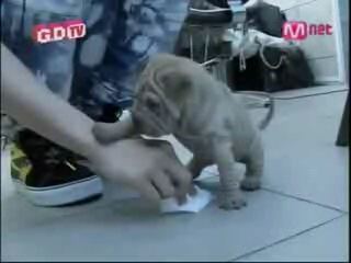 Verif acc from @JRPWorld Hai stalker,Anjingnya GD ⊙.̮ ⊙, GaKeNyu, #κετjυρƒαмs #pucukfams #KECEtar with TMT_KAI #ĸąūΜЅωΛǵ #sundaunited