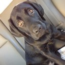 Sherry Wibbenmeyer - @SherryWibbs - Twitter