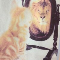 meroqueta (@canopus16) 's Twitter Profile