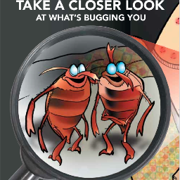 McDonaldpc's profile picture. Providing Pest Control Services in TampaBay Area.Heat Elimination, Bed Bug Eradication is Our Specialty. Eliminating Pest Problems Daily