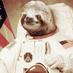 Cpt. Space Sloth (@AnonymousAutumn) Twitter profile photo