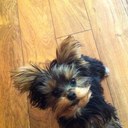 TAMARA BARRINGER - @BARRINGERTAMARA - Twitter