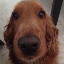 Sandra Boscá - @SandraBosca - Twitter