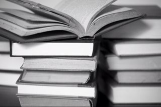 Twitter oficial do Livro : Amor De Verão .
