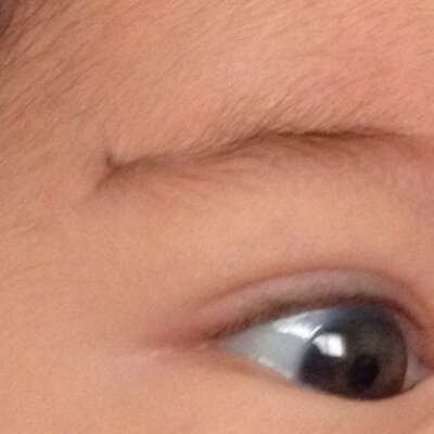 eyebrow cowlick on twitter