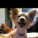 Lana Clement - @selana_says - Twitter