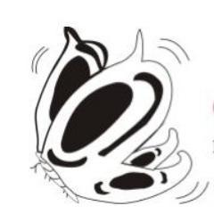 fundacrisalida's profile picture. :
La fundación nace en el año 2008, somos un grupo de padres, que atravesados por la experiencia de perder un hijo