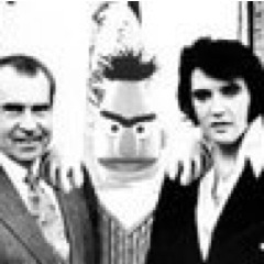 BertDible's profile picture. 