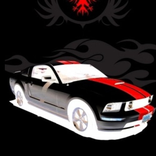 patrickcajunwoo's profile picture. 