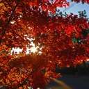 Jon Maynard - @maynardjon - Twitter