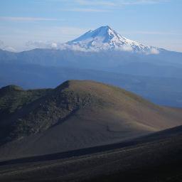 rbbromy's profile picture. 