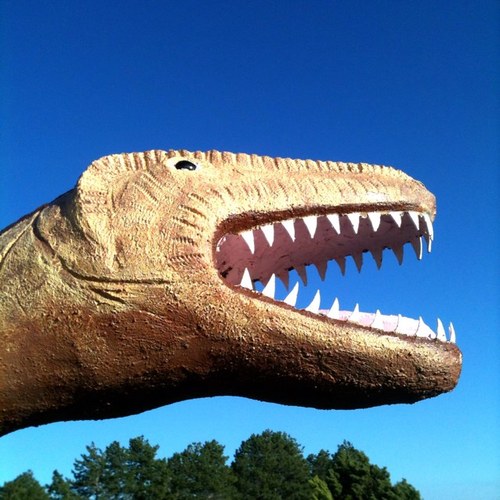 nwiphoneography's profile picture. Pacific Northwest iPhoneography Images.  iPhone & Mobile Photography related tweets. Content curated by @SteveBisig