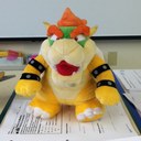 Ellen Crews - @crewsgebra - Twitter