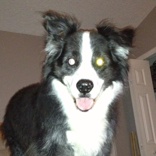 hisrobot's profile picture. I give a beat a beating! Follow me or swallow me!