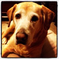 pace1125 (@pace1125) 's Twitter Profile