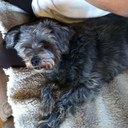 Susan Romans - @RomansSusan - Twitter