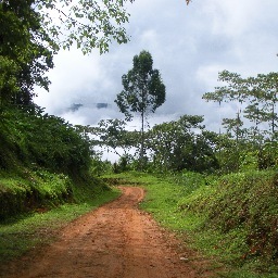 seek the narrow path