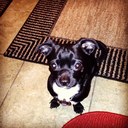 Jake Schnell - @jake_schnell - Twitter