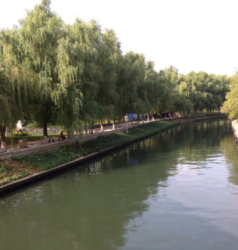 eegbat's profile picture. 