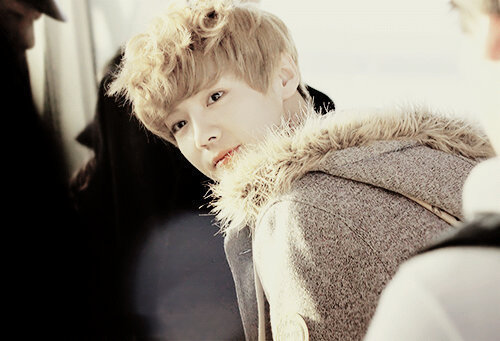@VenusAra_92 is my ONLY Venus [210812, Married 21-10-12] ♥, Xiao lu's dad [271112], #EXOstanFams;#EXOVenus; #pucukfams;#VisualSquad;More? Cek Fav