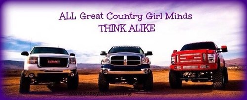 DonaZblink's profile picture. 