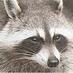 What? (@12358thirteen) Twitter profile photo