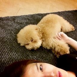 JJ of JYJ