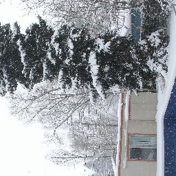 88passpass's profile picture. 