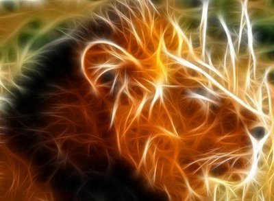 Mak_Mengal's profile picture. 