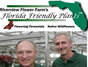 Keeping you up to date and successful with Florida Friendly Landscapes, plants and trends to improve our planet.