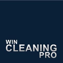 Professional  Windows Cleaning