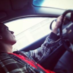 viewsoniclg's profile picture. 