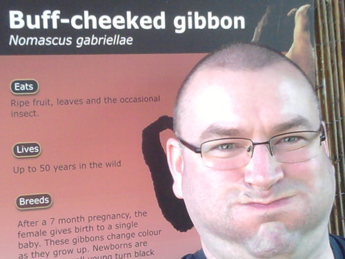 AlanGibbons3's profile picture. Everything is better with cheese...fact!