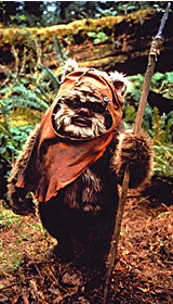 bruno_ewok Profile Picture