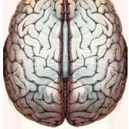 The Headache Assistant's Official Twitter. Learn everything about health, you need to know!
