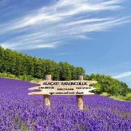 alacatisabuncul's profile picture. alaçatı sabunları organik, doğal, el yapımı klasik yöntemlerle üretilen sabunlardır. saf bitkisel gliserin ve zeytinyağdan mamüldür.