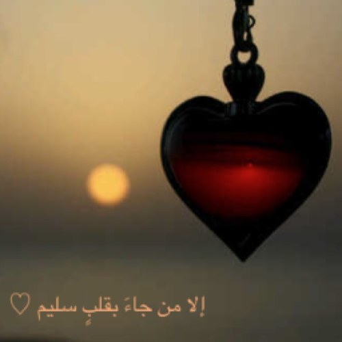 MUSLIM_HEARTS Profile Picture