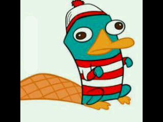 comedyyortruth's profile picture. Amazing collection of tweets that will make your day better. (This is not affiliated with Perry The Platypus)