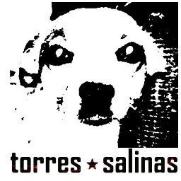 Daniel Torres-Salinas