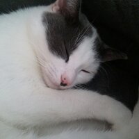 Minifrip (@minifrip) 's Twitter Profile