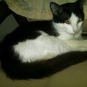 Tu corazon - @RafaelaQuezada2 - Twitter